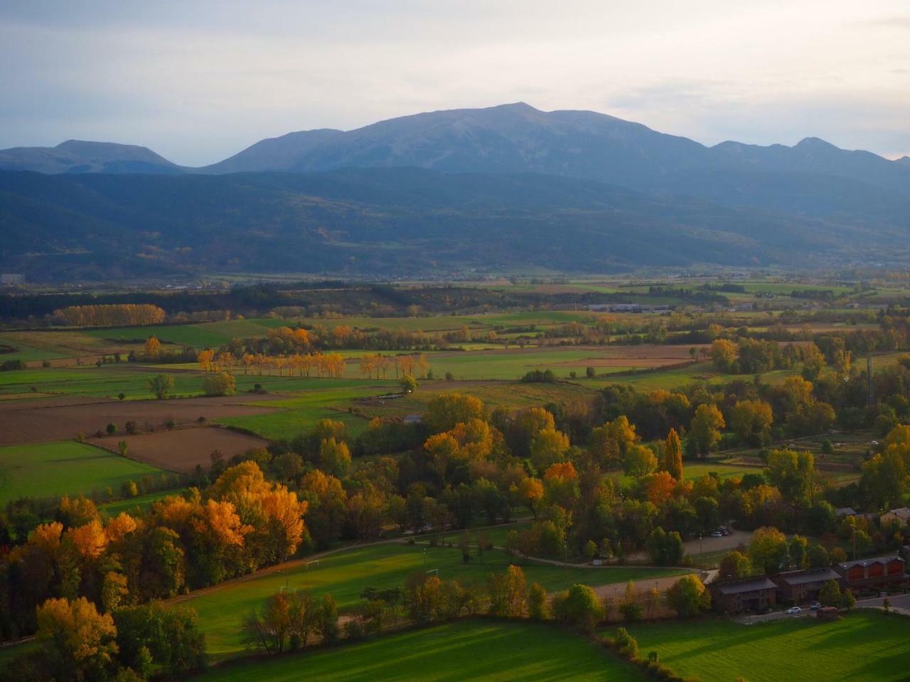 Carpe Diem En * Llivia